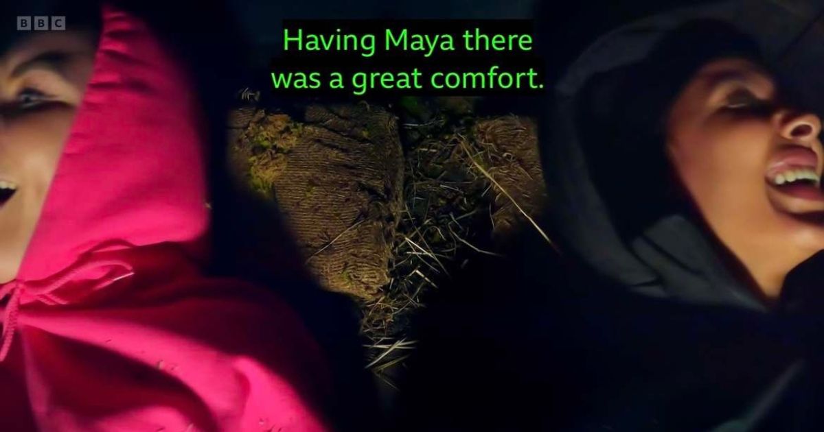 Maya Jama is a great comfort - "The Traitors"