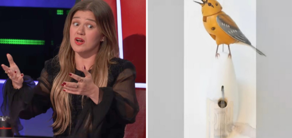 kelly clarkson and molly the mechanical bird