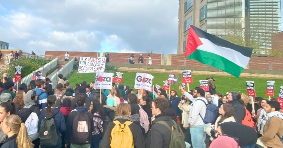 A pro-Palestine protest in Birmingham in 2024