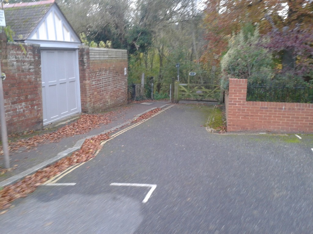 2012-11-08 08.51.39
