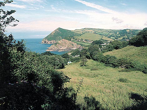 Devon pretty