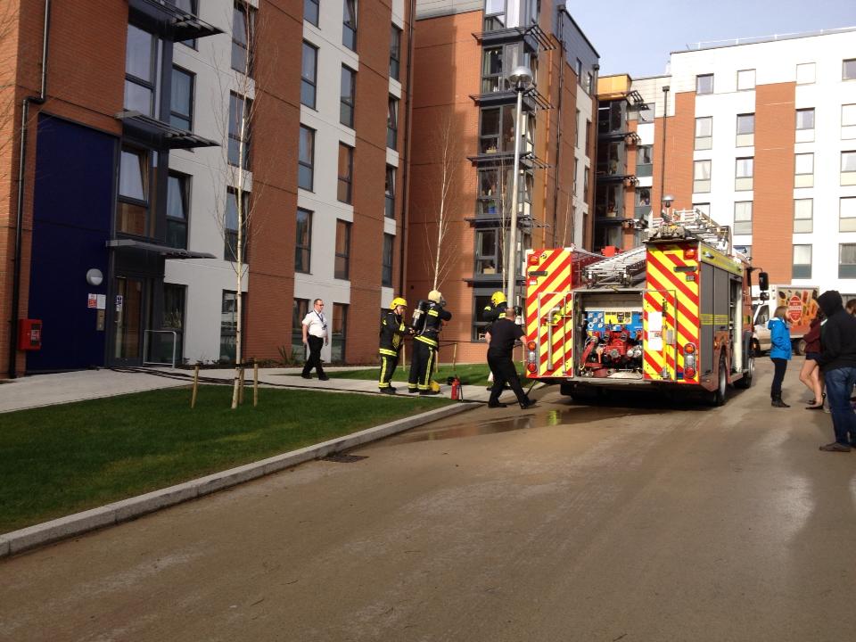 fire engine lawfrowda