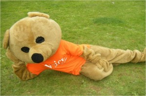 voice bear