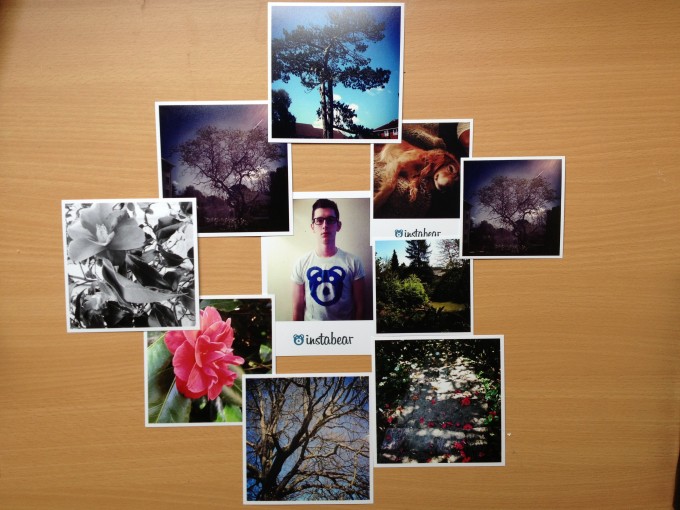 instabear prints