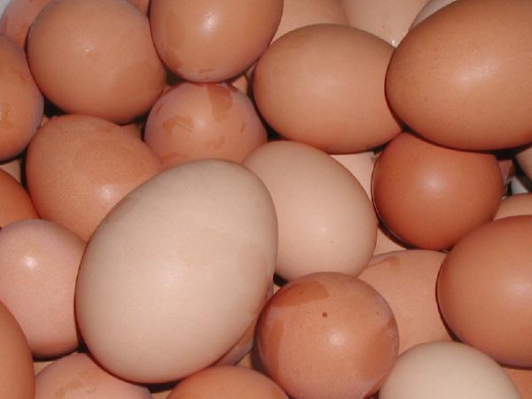 Rotten eggs - more than just a bad smell