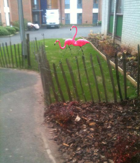 Pink flamingos always add that touch of class.