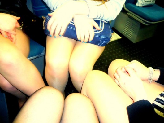 Observe the short-skirt species in their natural habitat, huddling in groups for warmth.