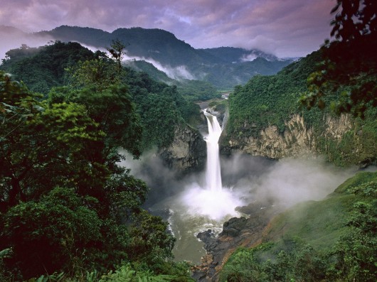 Amazon rainforest, South America