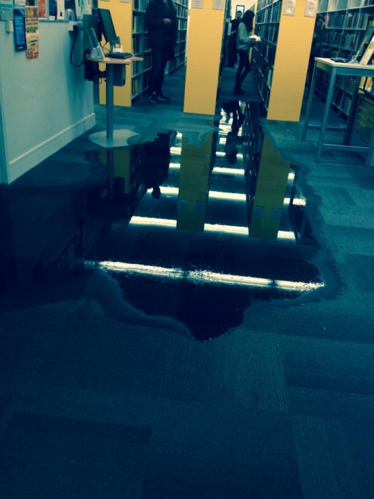 The Library's brand new swimming facilities.