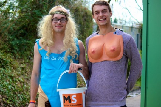 MS collections
