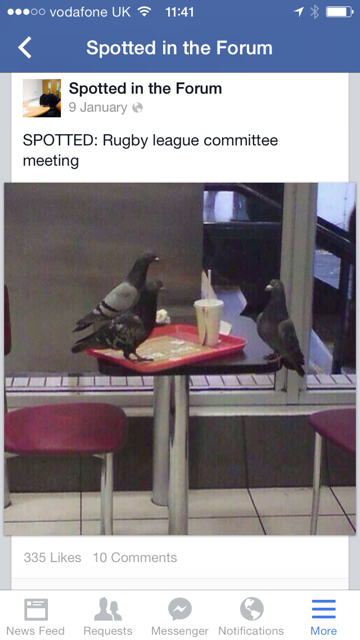 pigeon rap