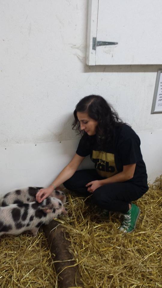 Getting down with the pigs
