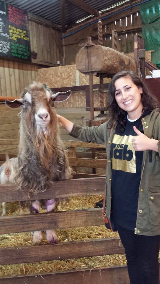 Ooh farm friends