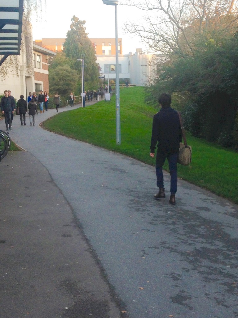 The Grove