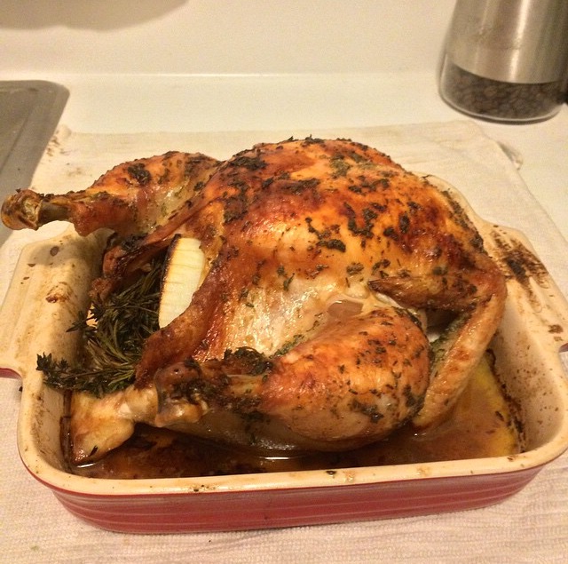 chicken