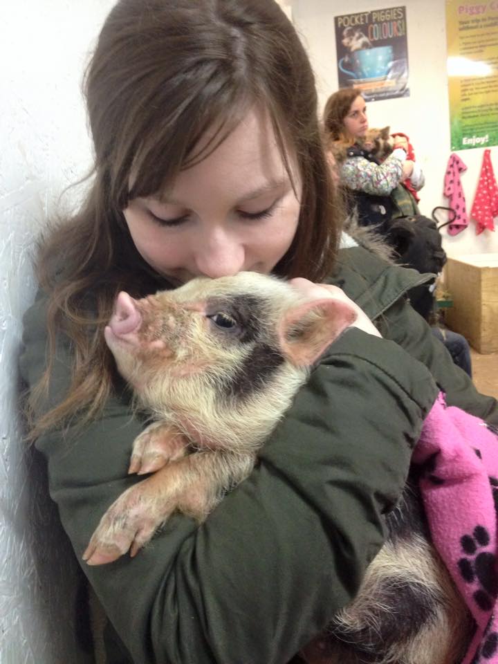 Pigs in blankets