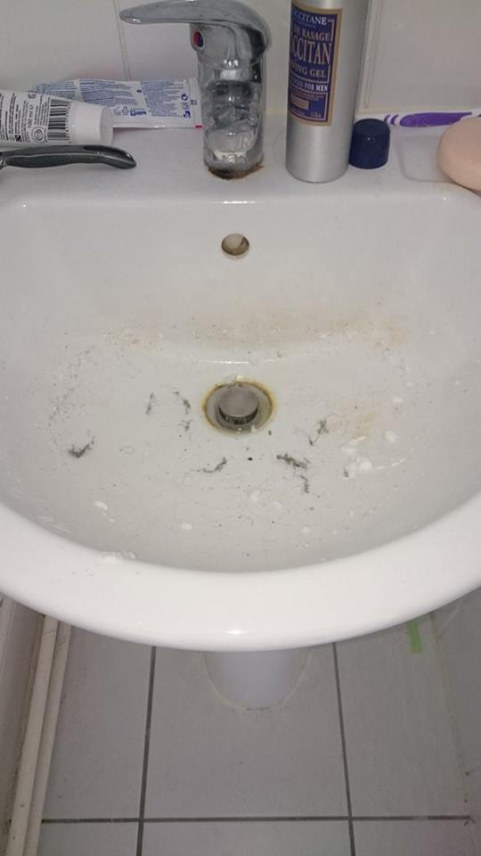 A truly grizzly sink