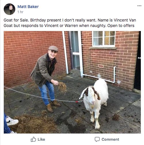Image may contain: Mammal, Goat, Animal, Person, People, Human