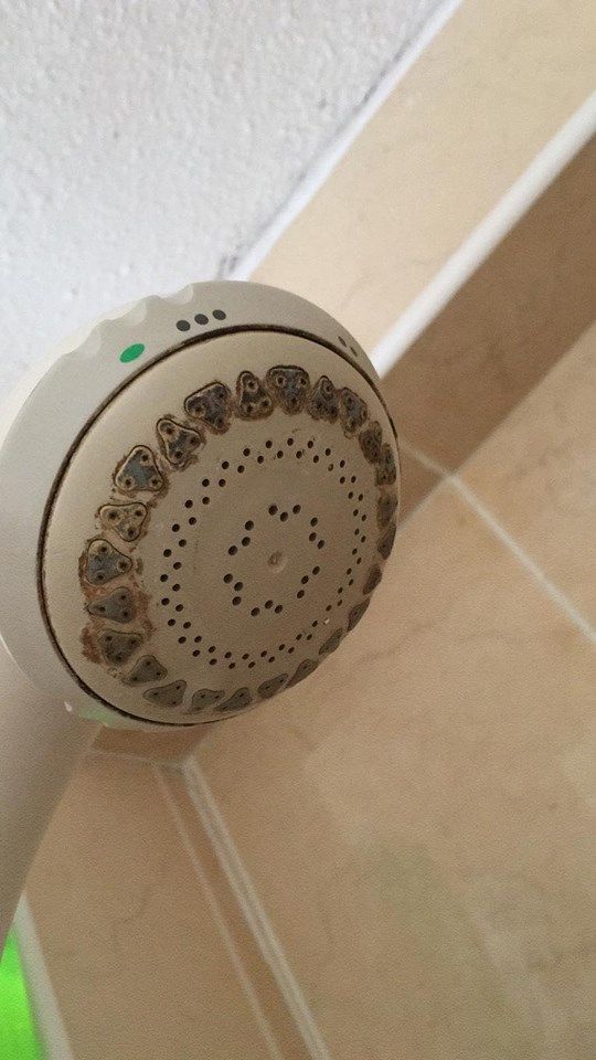 Image may contain: Bathroom, Indoors, Room, Shower Faucet