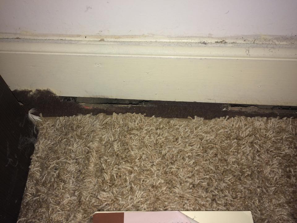 The slugs need a way in as well