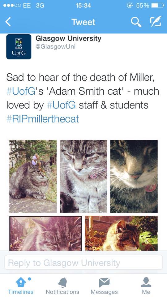 #RIPmillerthecat