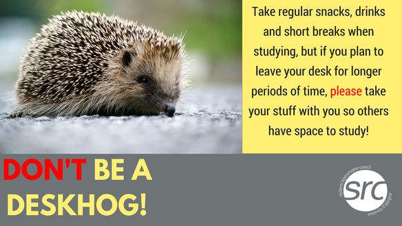 Image may contain: Rodent, Rat, Animal, Mammal, Hedgehog