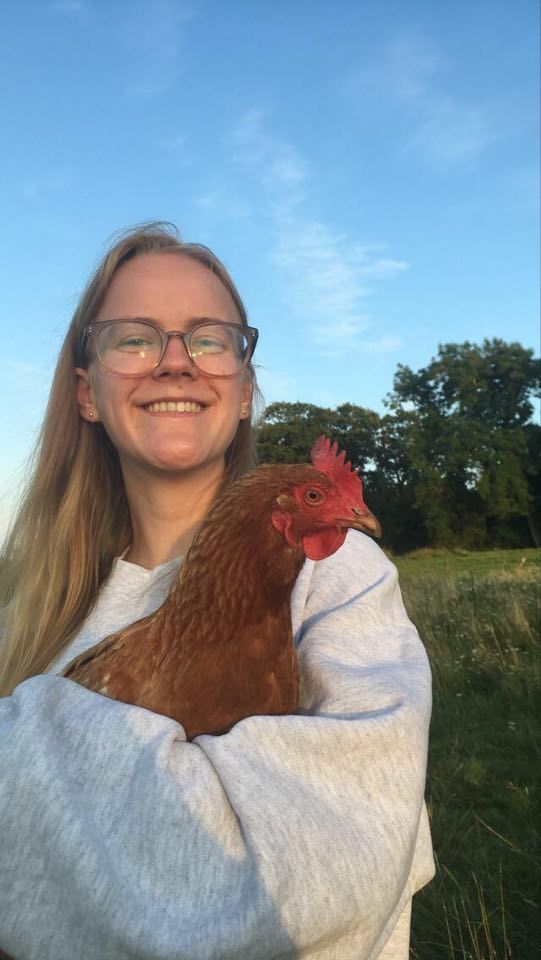 Image may contain: Hen, Chicken, Poultry, Fowl, Face, Bird, Animal, Accessories, Accessory, Glasses, Human, Person
