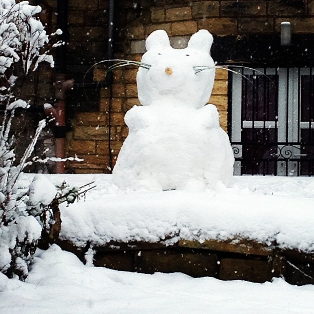 snow cat