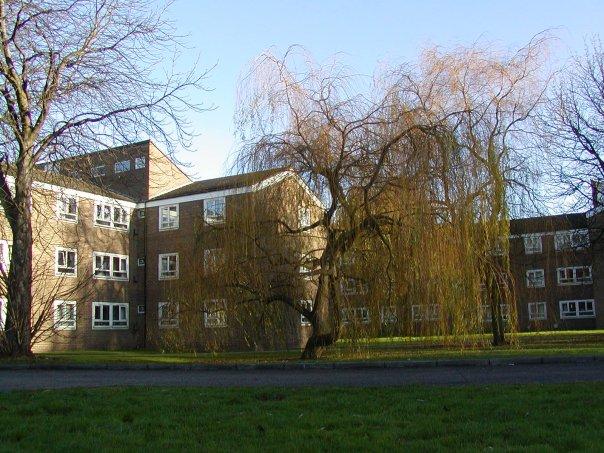 lupton1