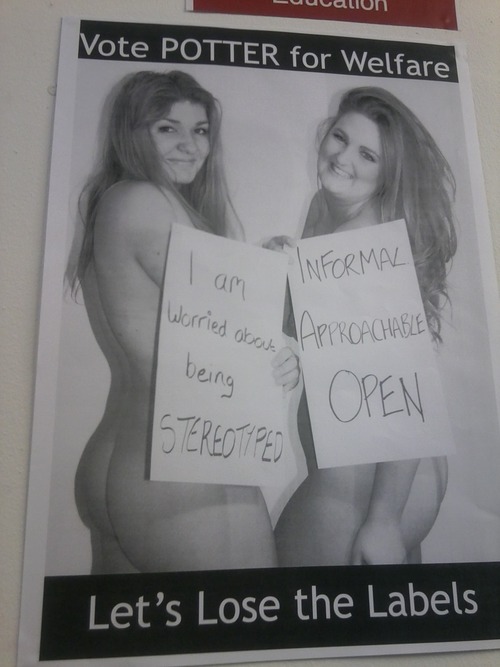 Campaign posters like this could get the cut