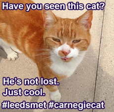 The cat is out of the bag: Definitive proof that there’s something wrong with Leeds met students
