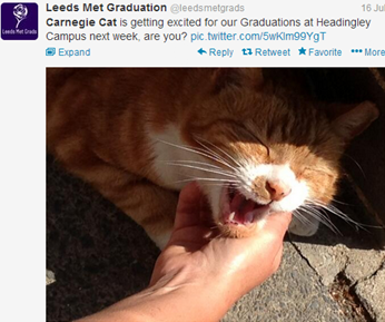 Excited’: Errr, really?