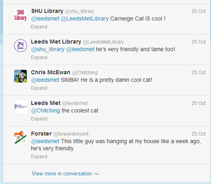Worrying: Students go Carnegie Cat crazy