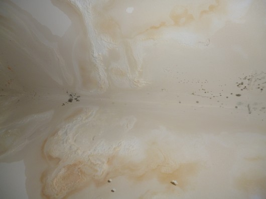 P1000145