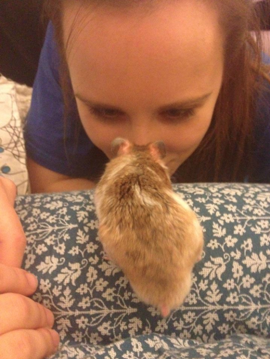 ham2