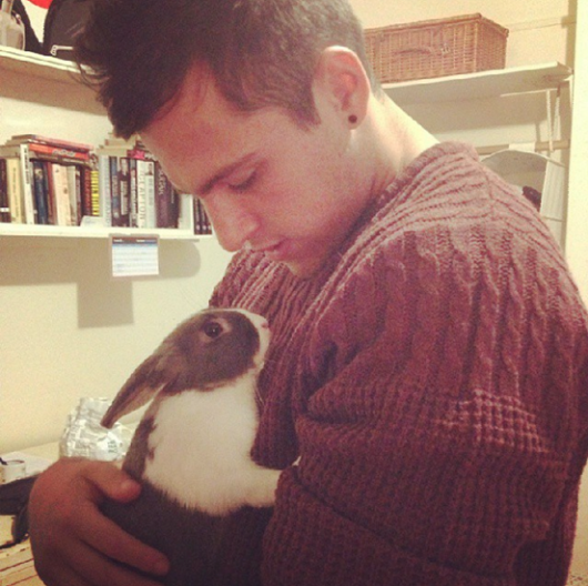 rabbit3
