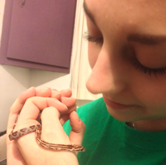 snake1