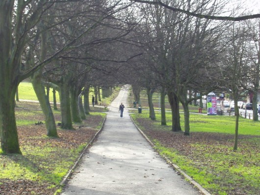 woodhousemoor