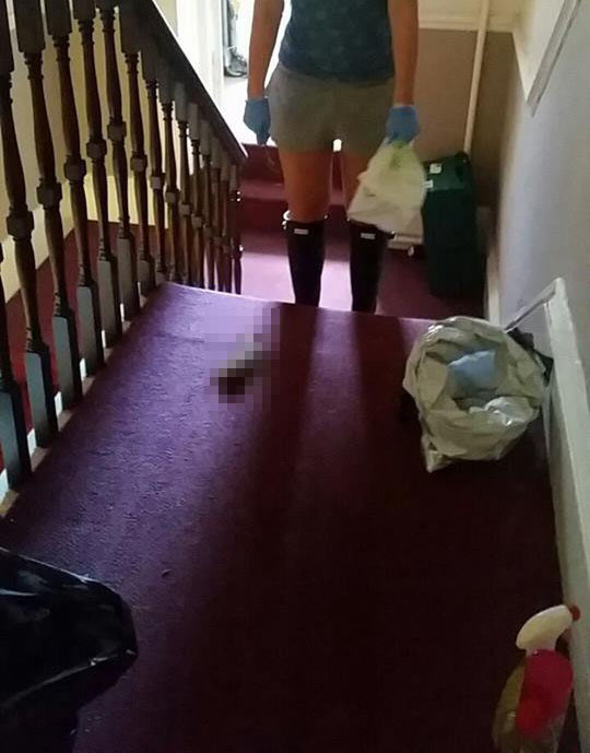 poo1