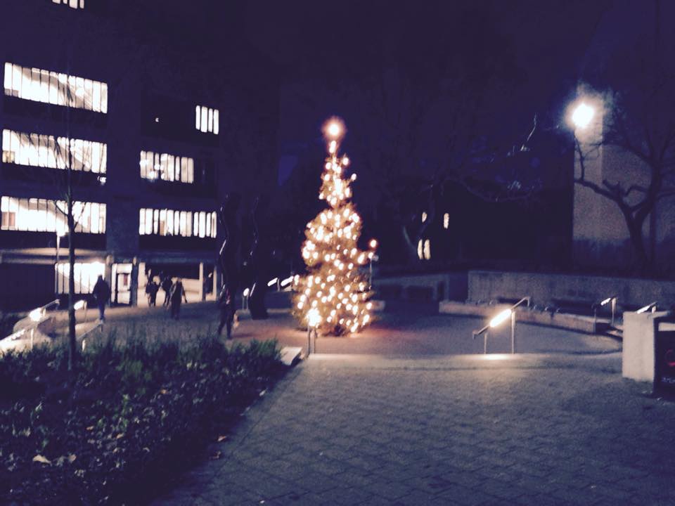 tree2