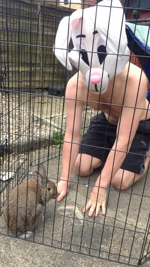 dograbbit