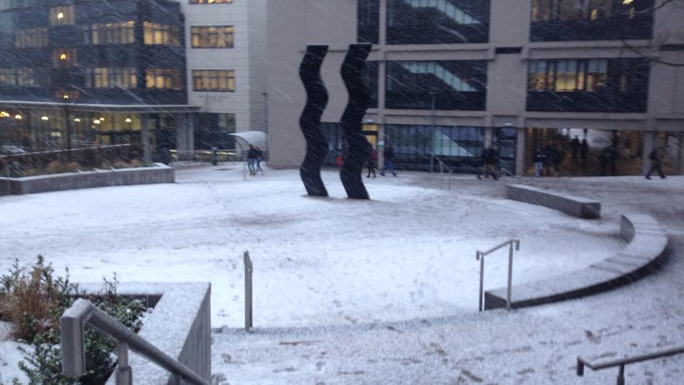 snow 3