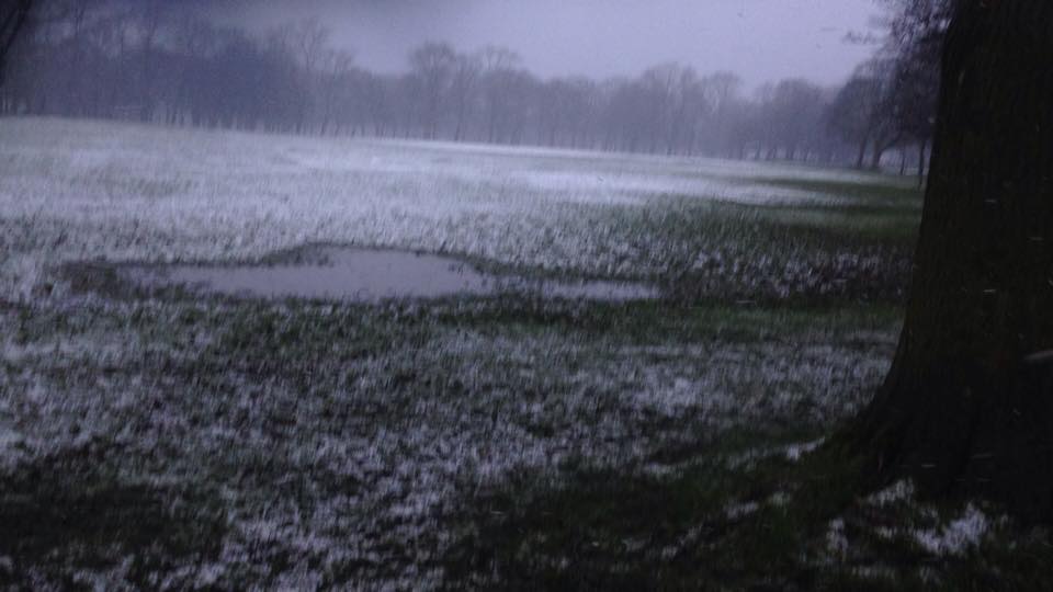 snow11