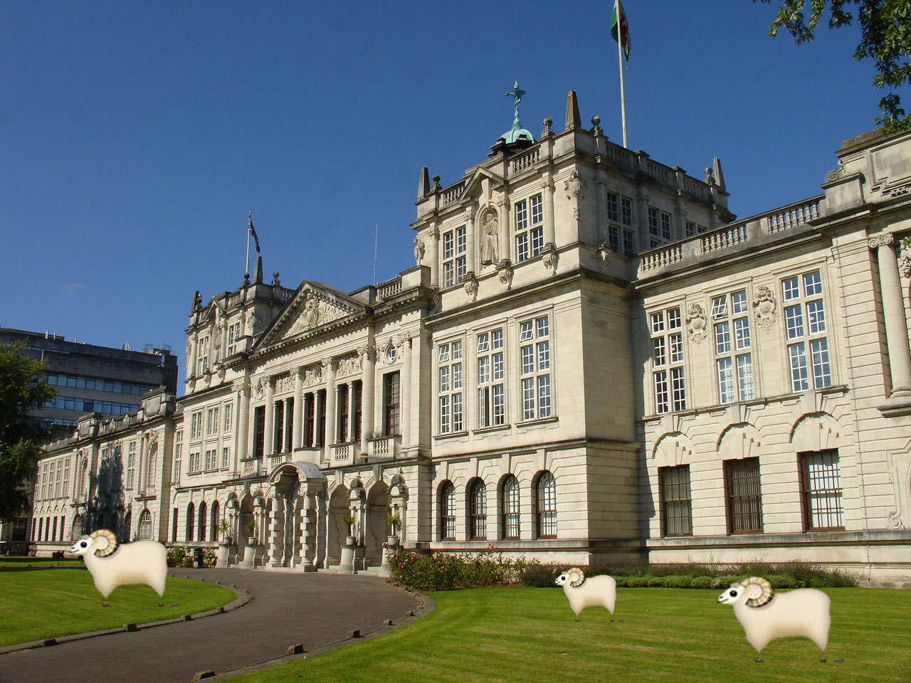 cardifffinished