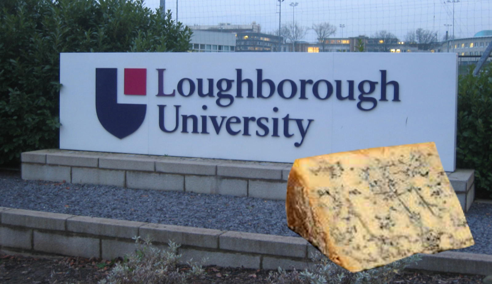 lufbracheese