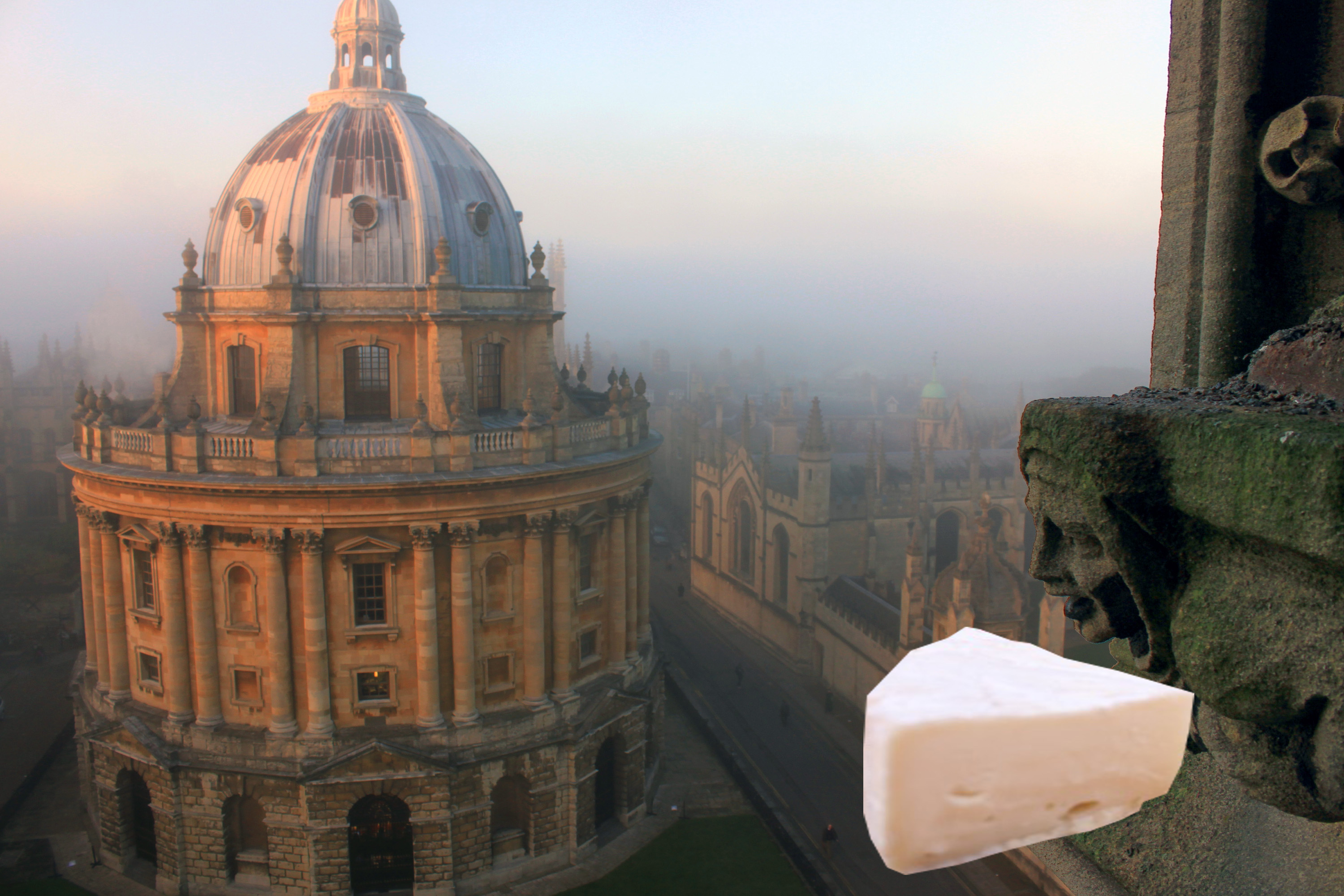 oxfordbrie