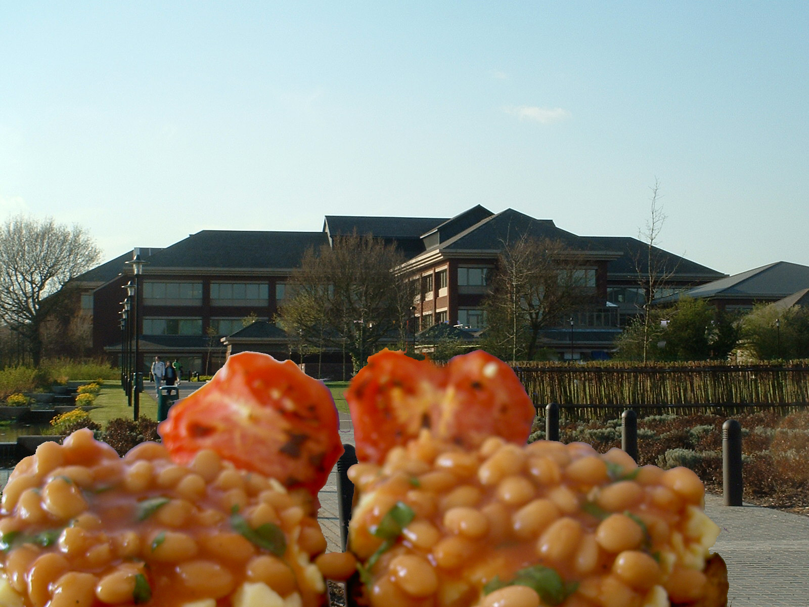 warwickbakedbeans