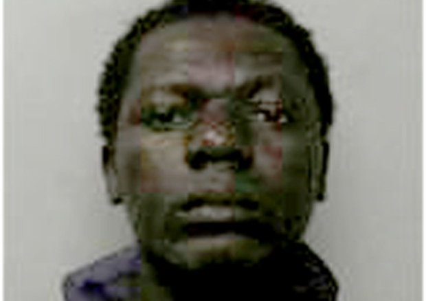 lamin