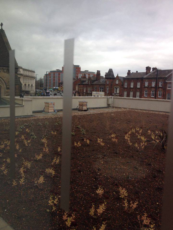 glare at their wooden palaces and extensive grounds from the window of floor 2