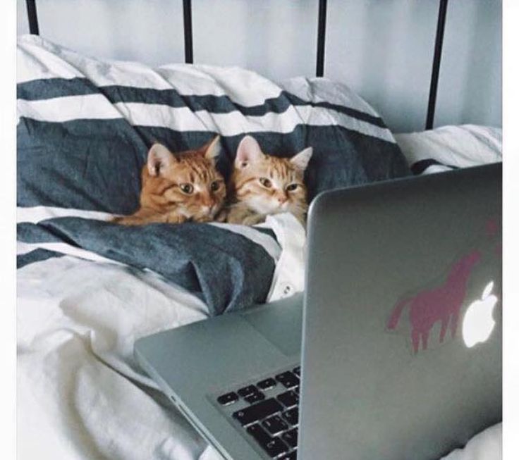 Back together again